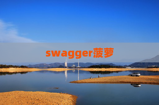 swagger菠萝